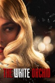 The White Orchid